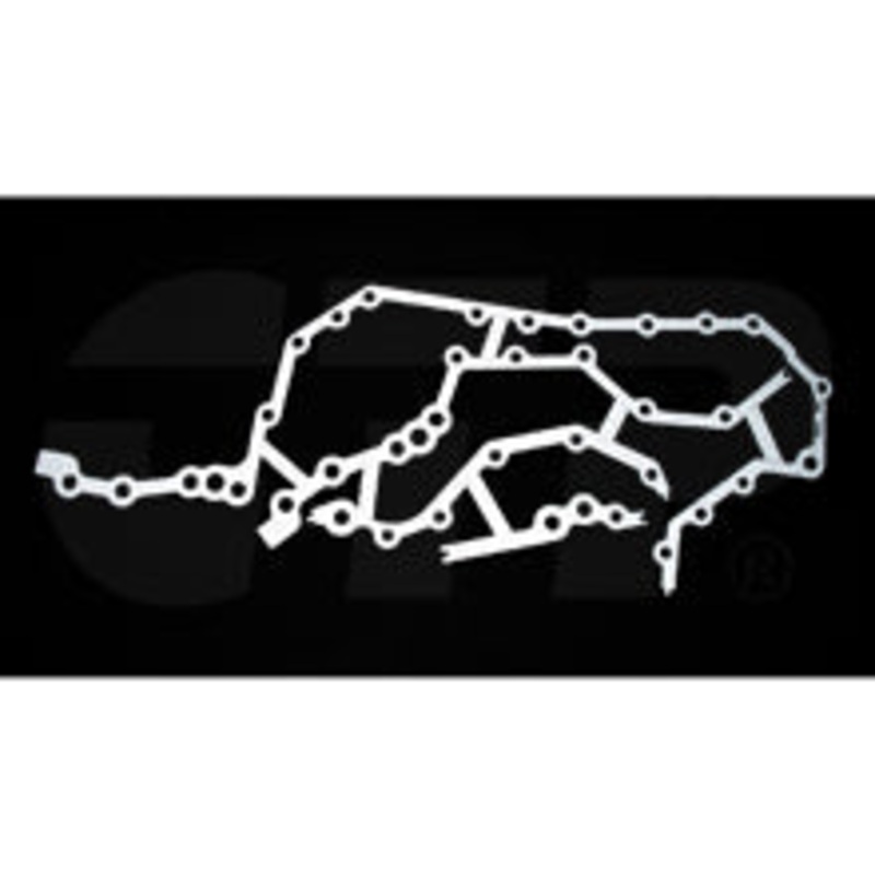 1669146 Gasket Fits Caterpillar Models