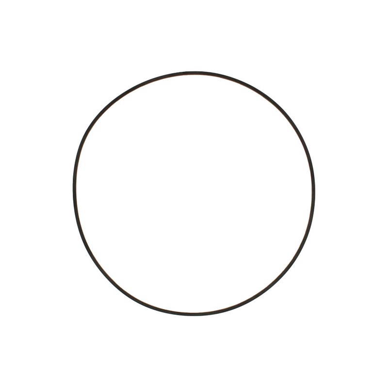 S.60533 O Ring , Sr50704