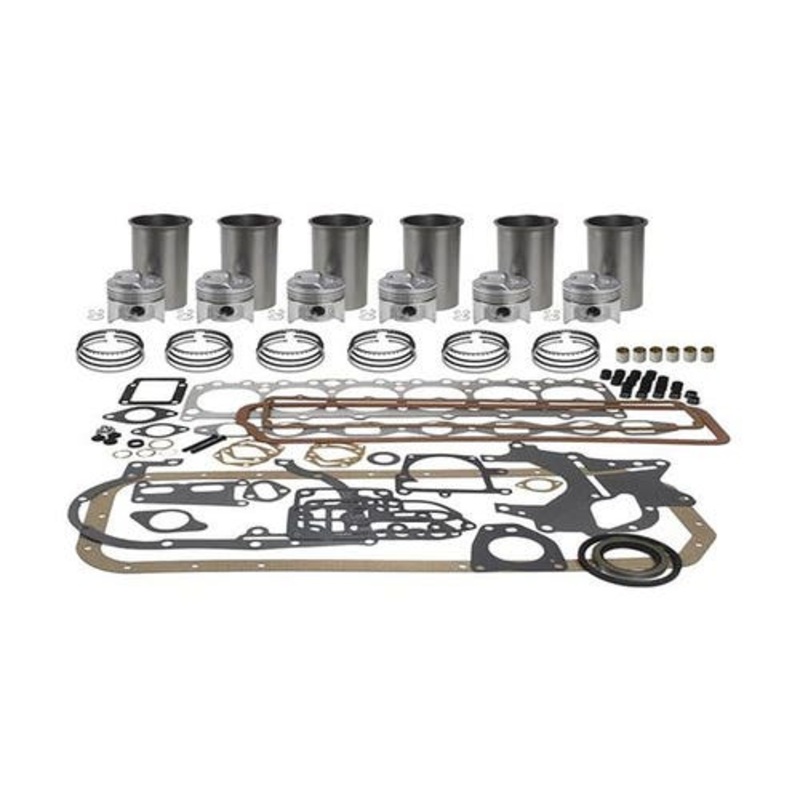 Basic Engine Rebuild Kit Less Bearings fits International 460