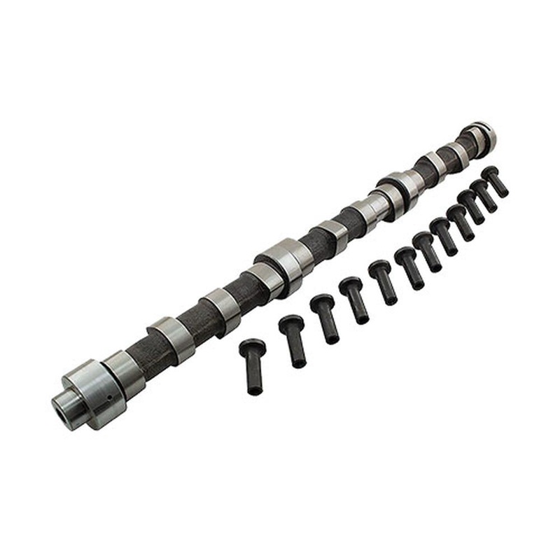 WN-RG22421-PEX Camshaft & Lifter Kit Fits John Deere 644E 644EH 644ER 644EZ 4055